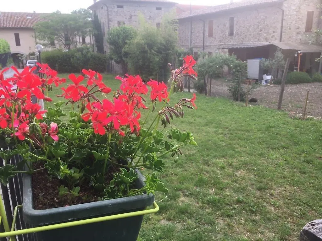 *** Bed & Breakfast B&B San Giorgio Traversetolo Italy