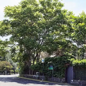 Pietra Dell'etna Ragalna